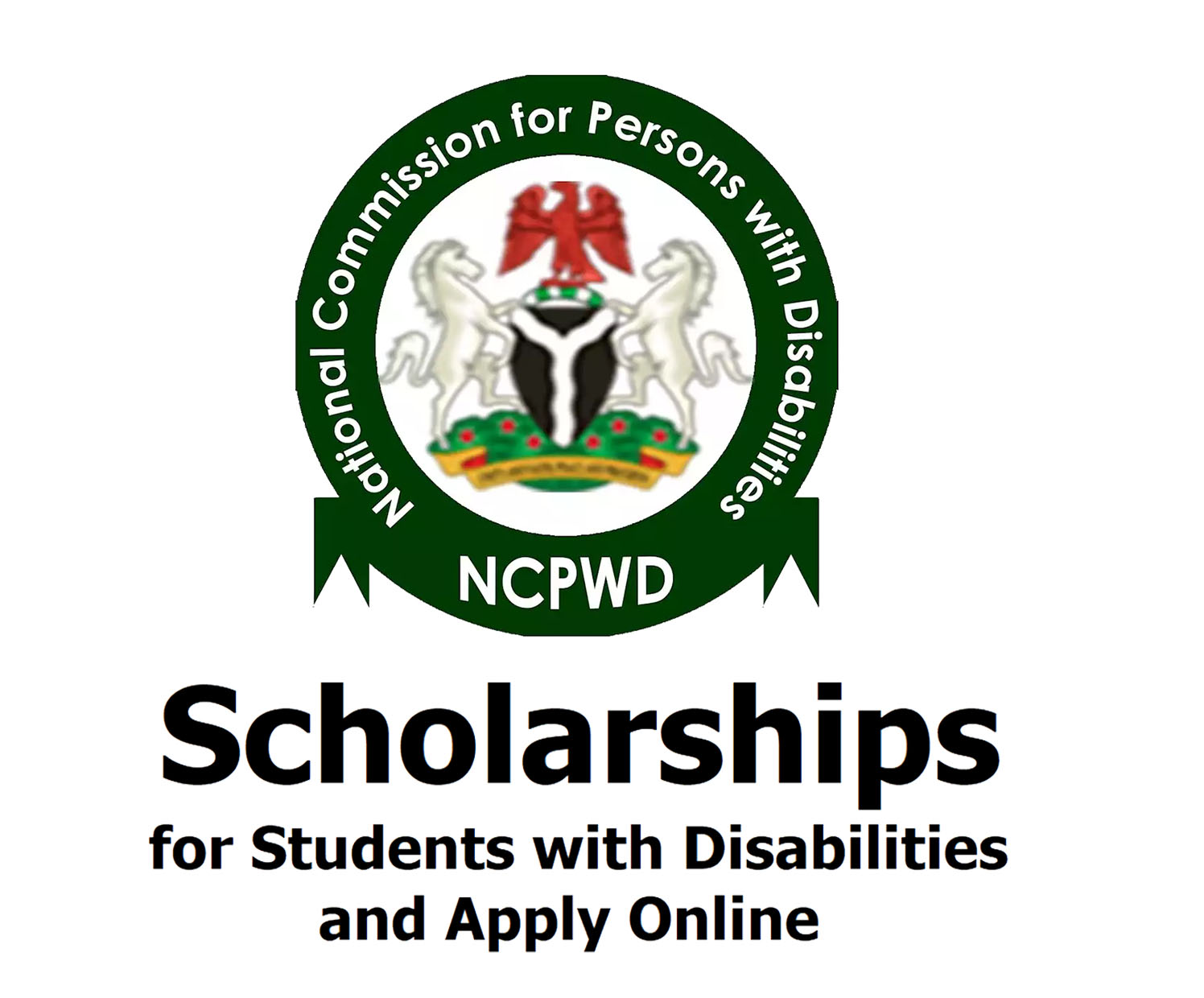 Federal Government NCPWD Undergraduate Scholarship | How To Apply